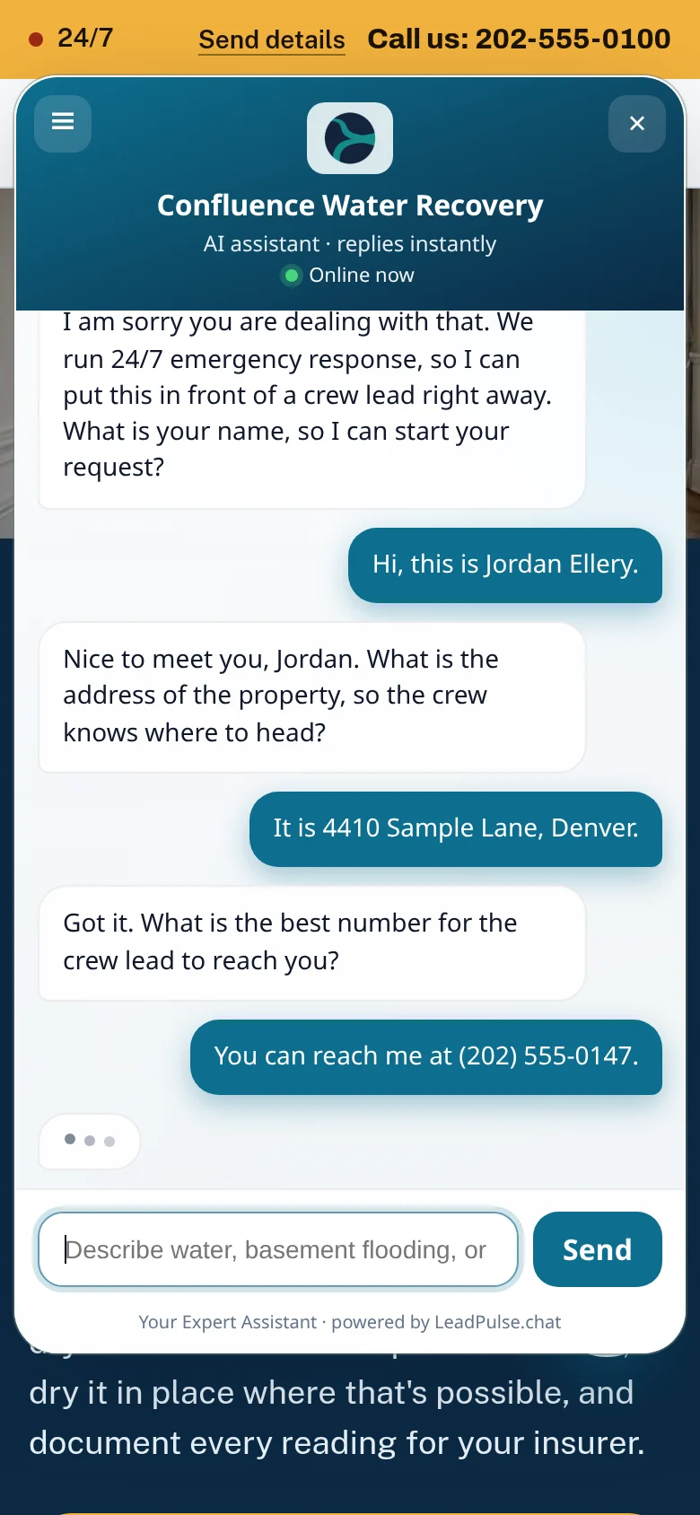 Website chat widget screen